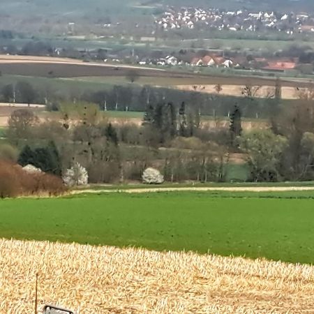 Zur Schoenen Aussicht Хамелн Екстериор снимка